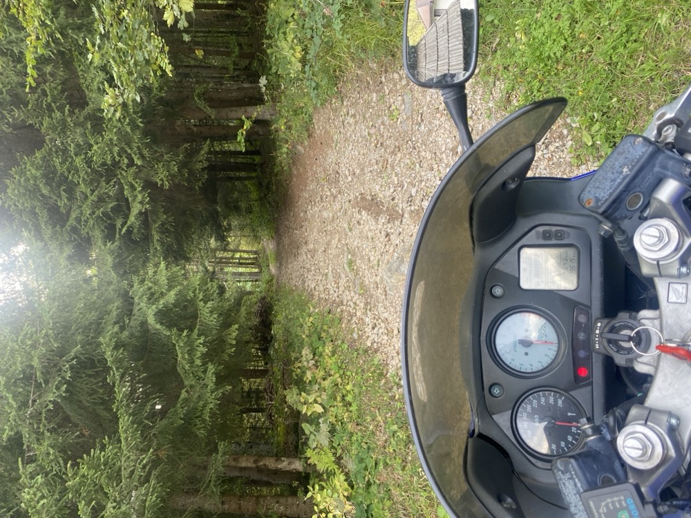 Dashboard van een motor op een bospad